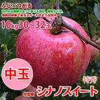 シナノスイート長野県産10kg26...