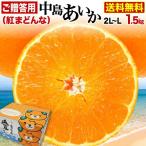 予約 御歳暮 ギフト みかん 中島あいか 贈答用 青秀クラス 2L・L玉×1.5kg 愛媛県中島産 みきゃん 送料無料 J常