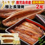 うなぎ 蒲焼き 国産 プレゼント 鹿児島産 ブランド鰻 極上長蒲焼き2本 ギフトBOX グルメ 送料無料 クール