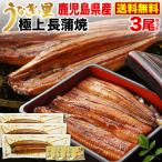 ギフト うなぎ 蒲焼き 国産 プレゼント 鹿児島産 ブランド鰻 極上長蒲焼き3本 ギフトBOX グルメ 送料無料 クール