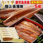 ギフト うなぎ 蒲焼き 国産 ギフト プレゼント 鹿児島産ブランド鰻 極上長蒲焼き5本 ギフトBOX グルメ 送料無料 クール