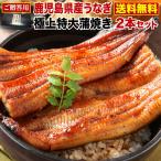 うなぎ 蒲焼き 国産 プレゼント 鹿児島産 特大蒲焼 2本 うなぎの里 送料無料 海鮮 内祝い 送料無料 クール