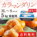 ショッピング春 カラマンダリン 春みかん 家庭用 愛媛 訳あり みかん 中島産  5kg J常