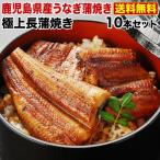 ショッピングうなぎ うなぎ 蒲焼き ご家庭用 国産 鹿児島産 長蒲焼き10本セット 約110g×10 タレ山椒付き 送料無料 クール