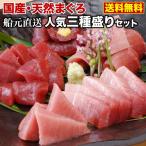 ギフト 食べ物 魚介 天然マグロ まぐろ 船元直送 最適国産 天然まぐろ 人気三種盛りセット メバチ キハダ トロビンチョウ 7〜8人前 送料無料 Y凍