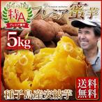 予約開始 早割 安納芋(あんのういも・ 安納いも)さつまいも 鹿児島 種子島産 産地直送 送料無料 プレミア蜜芋5kg 贈答用 ギフト可 グルメ
