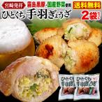 宮崎発祥 ひとくち手羽ぎょうざ 16本入り 一口サイズ 霧島黒豚 国産野菜使用 お弁当 おかず 送料無料 クール