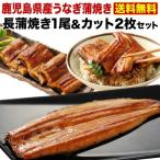 うなぎ 送料無料 国産 長蒲焼き1尾&カット2枚セット ギフトBOX 鹿児島産 蒲焼き うなぎの里 プレゼント 内祝 クール