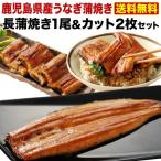 ショッピングうなぎ 蒲焼き 国内産 送料無料 ポイント5倍 御歳暮 お歳暮 送料無料 ギフト うなぎ 国産 長蒲焼き1尾&カット2枚セット ギフトBOX 鹿児島産 蒲焼き うなぎの里  クール