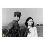  фильм steel 285 [ покупатель . осень .]3 шт. комплект 