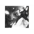  фильм steel 564 [ Ray The - задний ]4 шт. комплект 