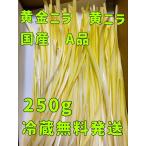 黄金ニラ 黄ニラ 250g 国産 ニラ にら 韮黄 黄にら 黄金にら 冷蔵無料発送