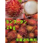 ランブータン Rambutan 2kg 冷蔵無料発送 メキシコ産