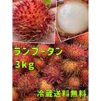 ランブータン Rambutan 3kg 冷蔵無料 メキシコ産