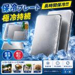 保冷剤 ステンレス アイスパック S M
