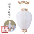  поддон фонарь другой сверху . белый . небо No.60 Gifu фонарь LED первый поддон для поддон фонарь поддон фонарь O-Bon фонарь новый поддон первый поддон Gifu фонарь сделано в Японии местного производства поддон фонарь Mini 