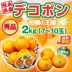 デコポン 熊本産 秀品 2.5kg 8-12玉 送料無料 贈り物 ギフト 贈答 果物 フルーツ 柑橘