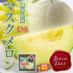 メロン マスクメロン 熊本産 1玉 2L 秀品 お中元 お供え プレゼント ギフト 高級 青肉 お土産 贈り物 贈答 常温便