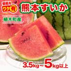 5月上旬以降発送開始 ランキング1位 すいか 熊本県産 春スイカ 3.5kg-5kg以上 訳あり 家庭用 先行予約 常温便