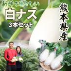 なす 熊本県産 白ナス 3本セット 1本 250g-300g 今ちゃん農園 白なす ナス 国産 無添加 野菜 新鮮な野菜 家庭用 常温便