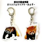 オリジナル　クリアキーホルダー（レッサーパンダ）