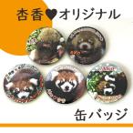 杏香オリジナル　缶バッジ