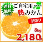 ご自宅用に 訳あり「熟」 みかん 10kg 熊本県産 送料無料 訳ありみかん