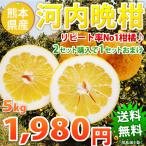 河内晩柑 訳あり 和製グレープフルーツ ジュースにも 5kg 2セット購入でおまけ増量 熊本県産 ジューシーみかん  送料無料