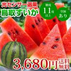 スイカ 送料無料 すいか 光センサー選果 鳥取産 1玉 9~10kg  西瓜 suika