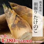  побеги бамбука бесплатная доставка бамбук. ..takenoko... примерно 4kg стандарт 4шт.@~16шт.