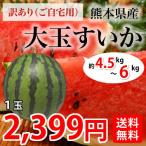 すいか 送料無料 大玉スイカ 訳あり 熊本県産 お取り寄せ 1玉 M~L 約4.5~6kg前後