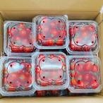  Kyushu Kumamoto производство мини помидоры примерно 4kg 20 упаковка (200g×20)2S~2L не комплект (002) овощи фрукты Kumamoto еда . помидор 