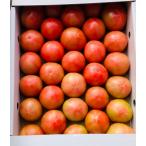 [ выбор ... товар с некоторыми замечаниями ] Kumamoto префектура производство помидор есть перевод коробка включая примерно 4kg и больше [002] размер не комплект ....... нестандартный для бытового использования .. не возможно обработка для почтовый заказ 