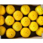 [ выбор ... товар с некоторыми замечаниями ] Kumamoto префектура производство Ooita префектура производство yuzu .. есть перевод коробка включая примерно 1.5kg[002] цитрусовые .. нестандартный для бытового использования .. не возможно обработка для почтовый заказ 