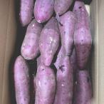 熊本県産 さつまいも 紅はるか 規格外品 箱込み 約2kg【003】 紅蜜芋 熊本 サツマイモ 薩摩芋 さつま芋 おつとめ品 訳あり品 サイズ不揃い焼き芋 芋 家庭用