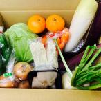  Kumamoto производство Kyushu производство .. овощи свежий целиком набор комплект 10 товар +1 товар фрукты есть перевод нестандартный размер не комплект для бытового использования прохладный рефрижератор Kumamoto производство 