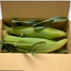 熊本県産 訳あり とうもろこし 5本セット 【003】クールr冷蔵便 九州産 極甘フルーツ コーン 野菜 熊本 訳あり品