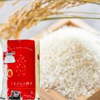 精米 熊本県産 くまさんの輝き 5キロ 