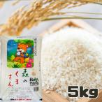 ���� �F�{���Y �X�̂��܂��� 5�L�� ���܂��Ƃ̕� �V�N�x�Y�� ���� �P�ꌴ�� ������ ���� �F�{ �p�b�P�[�W�ύX����