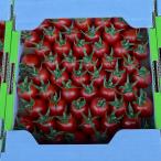  Kumamoto производство фрукты помидор примерно 1kg коробка включая 2S~2L не комплект super товар есть перевод (002) овощи фрукты Kumamoto еда . помидор фрукты 