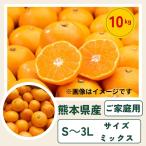 選果落ち 訳あり品 熊本県産 みかん
