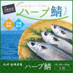 ハーブ 鯖 3匹 1匹約400〜500g 九州 長崎産 公認取扱店 活締め 活魚 鮮魚 ハーブサバ 送料無料