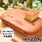 賞味期限2024年5月11日 セール 阿蘇ジャージー チーズケーキ ケーキ 取り寄せ スイーツ 送料無料  3-7営業日以内に出荷予定(土日祝除く)