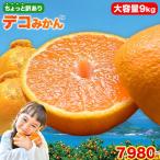 ショッピングデコポン 大容量9kg ちょっと 訳あり デコみかん 9kg デコポン 不知火 と同品種 熊本県産 送料無料 みかん 柑橘 果物 旬 フルーツ 3-7営業日以内に発送(土日祝除く)