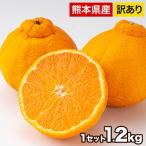 送料無料  デコポンと同品種 本場熊本産 訳ありデコみかん1.2kg サイズ無選別 2セット購入で1セット分増量 複数購入はおまとめ 2月中旬-2月末頃より順次出荷