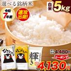 お米 米 5kg 令和7年産 備蓄米 では ございません　令和7年産 お米 熊本県産三大ブランド米 選べる 白米 5kg 送料無料 ひのひかり 森のくまさん くまさんの輝き 精米 7-14営業日以内に発送予定(土日祝日除く) |