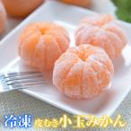 熊本県産 冷凍 小玉 みかん 皮むき 1.5kg 500g×3袋 送料無料 2s~3s 2s 3sサイズ 柑橘 1-5営業日以内に出荷予定 土日祝日除く