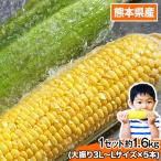 【日本最速級出荷】ゴールドラッシュ 1セット5本入り 送料無料 クール便 フルーツコーン 甘い 2セット購入で+2本増量 ※おまとめ配送 6月中旬-6月末旬頃より出荷