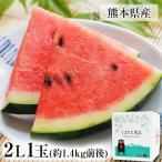 スイカ 熊本 送料無料 訳あり 小玉スイカ 熊本県産 1玉 2Lサイズ 1.4kg以上 果物 フルーツ 旬 すいか《3-7営業日以内に発送予定(土日祝除く)》