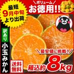大容量8kg 小玉 みかん 送料無料 訳あり 小粒 箱込8kg 熊本 極早生 柑橘 訳アリ 蜜柑 9月中旬-10月中旬に発送予定(土日祝除く) |